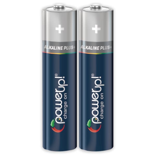Batteries Alkaline Plus AAA, PK 2